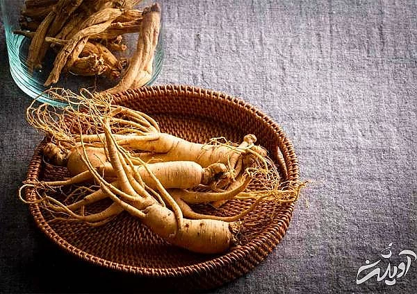 تقویت سیستم ایمنی بدن به روش سنتی با جینسینگ جینسینگ